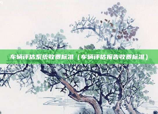 车辆评估系统收费标准(车辆评估报告收费标准)