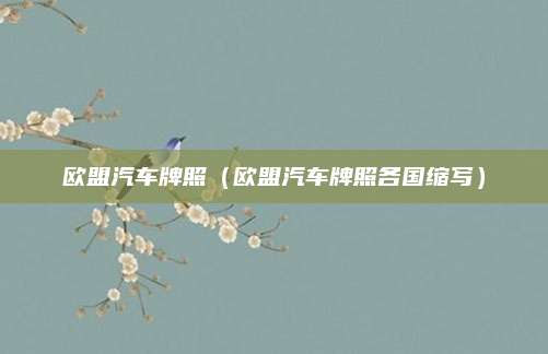 欧盟汽车牌照(欧盟汽车牌照各国缩写)