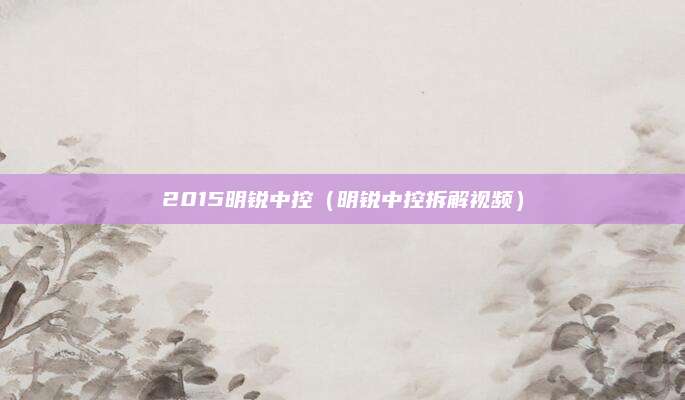 2015明锐中控(明锐中控拆解视频)