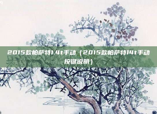 2015款帕萨特1.4t手动(2015款帕萨特14t手动按键说明)