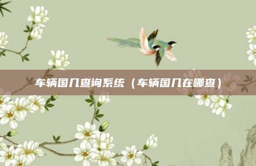 车辆国几查询系统(车辆国几在哪查)