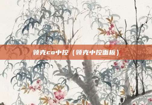 领克co中控（领克中控面板）