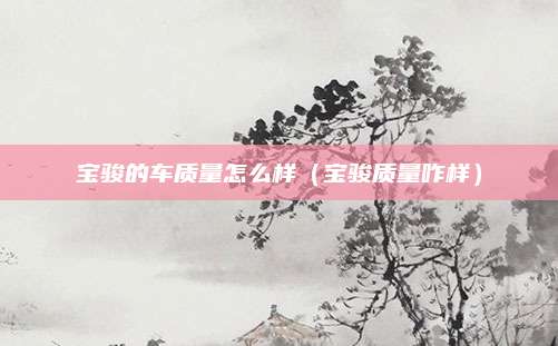 宝骏的车质量怎么样(宝骏质量咋样)