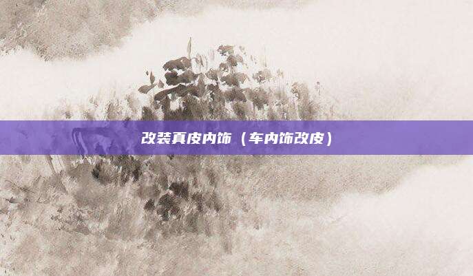 改装真皮内饰(车内饰改皮)