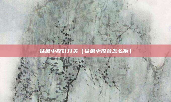 猛禽中控灯开关(猛禽中控台怎么拆)