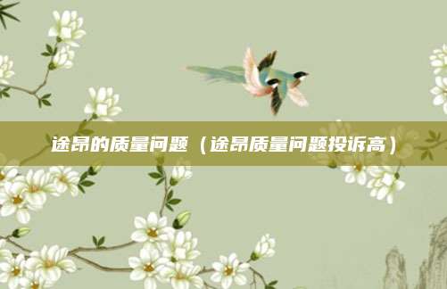 途昂的质量问题(途昂质量问题投诉高)