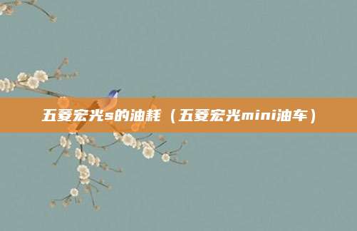 五菱宏光s的油耗(五菱宏光mini油车)