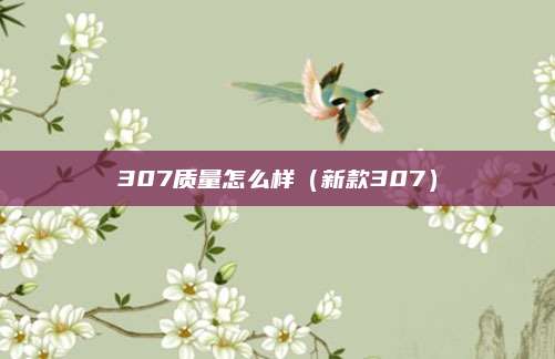 307质量怎么样(新款307)