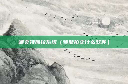 哪卖特斯拉系统(特斯拉卖什么软件)