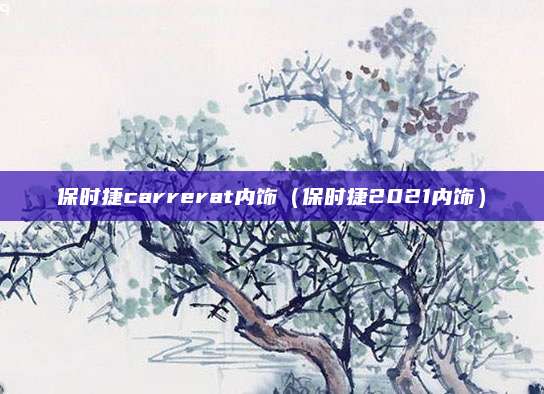 保时捷carrerat内饰(保时捷2021内饰)