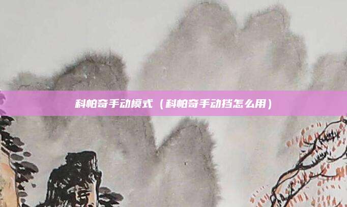 科帕奇手动模式(科帕奇手动挡怎么用)