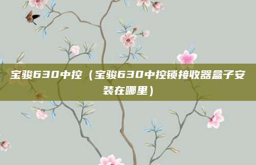宝骏630中控（宝骏630中控锁接收器盒子安装在哪里）