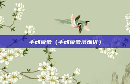手动帝豪（手动帝豪落地价）