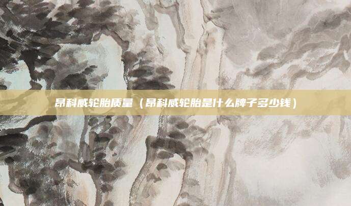 昂科威轮胎质量（昂科威轮胎是什么牌子多少钱）