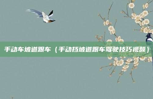 手动车坡道跟车（手动挡坡道跟车驾驶技巧视频）