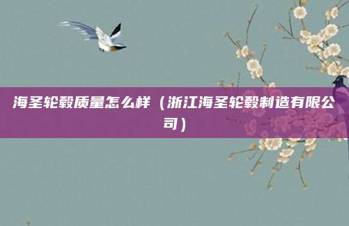 海圣轮毂质量怎么样（浙江海圣轮毂制造有限公司）
