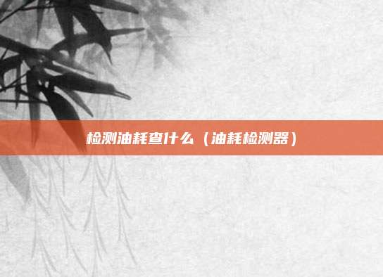 检测油耗查什么(油耗检测器)