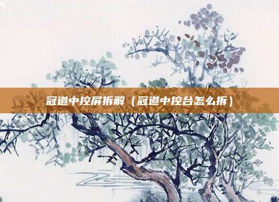冠道中控屏拆解(冠道中控台怎么拆)
