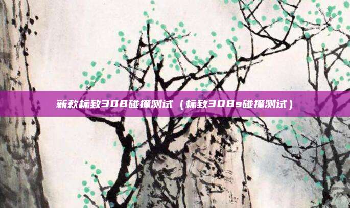 新款标致308碰撞测试(标致308s碰撞测试)