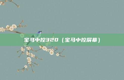 宝马中控320(宝马中控屏幕)