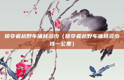 掠夺者越野车油耗多少(掠夺者越野车油耗多少钱一公里)