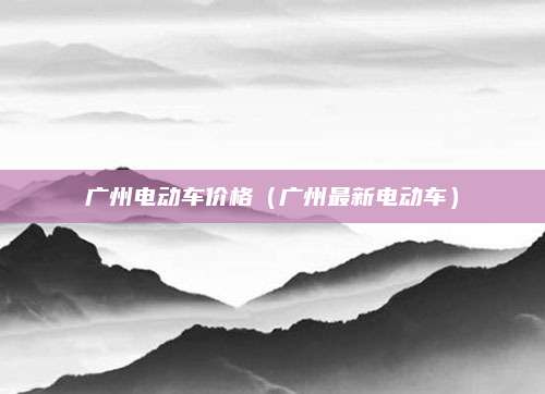 广州电动车价格(广州最新电动车)