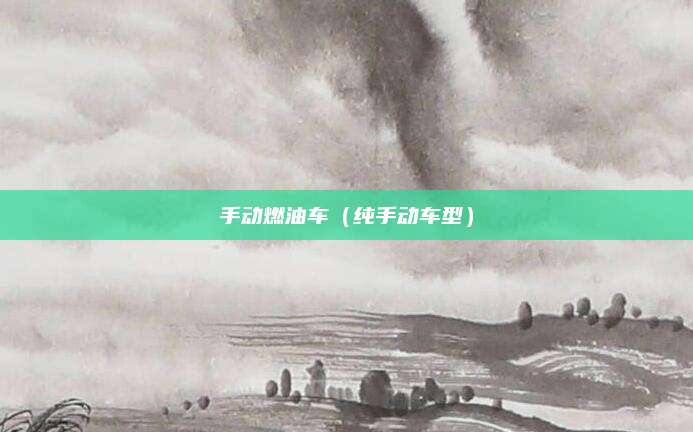 手动燃油车(纯手动车型)
