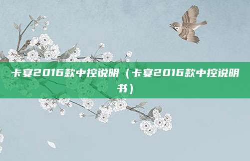卡宴2016款中控说明(卡宴2016款中控说明书)