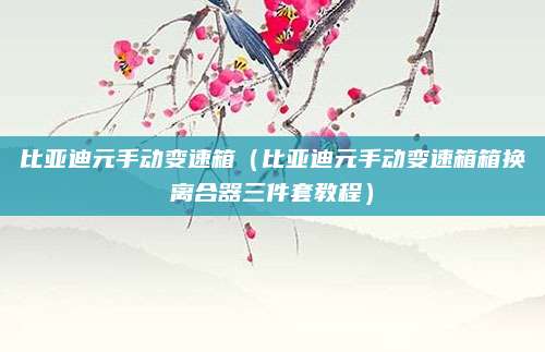 比亚迪元手动变速箱(比亚迪元手动变速箱箱换离合器三件套教程)