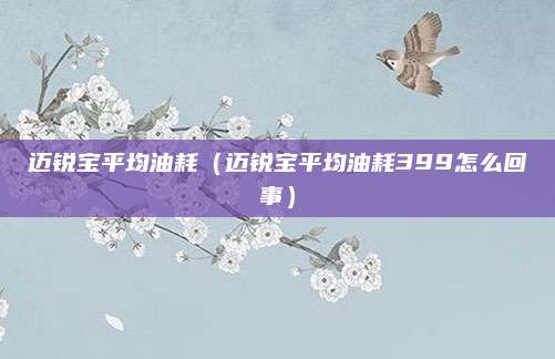 迈锐宝平均油耗(迈锐宝平均油耗399怎么回事)