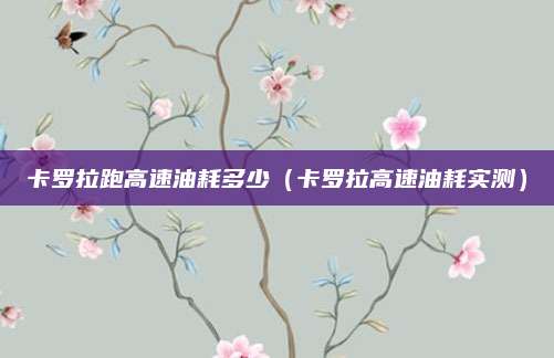 卡罗拉跑高速油耗多少(卡罗拉高速油耗实测)