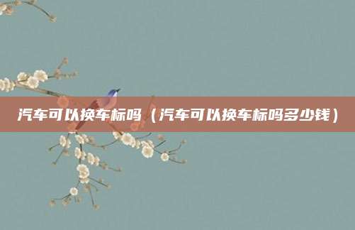 汽车可以换车标吗(汽车可以换车标吗多少钱)