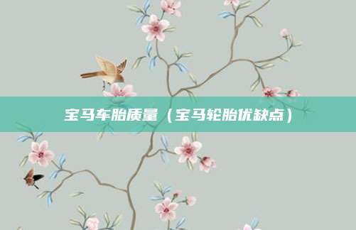 宝马车胎质量(宝马轮胎优缺点)