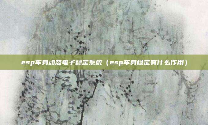 esp车身动态电子稳定系统(esp车身稳定有什么作用)