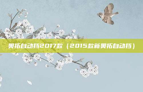 奥拓自动挡2017款(2015款新奥拓自动挡)