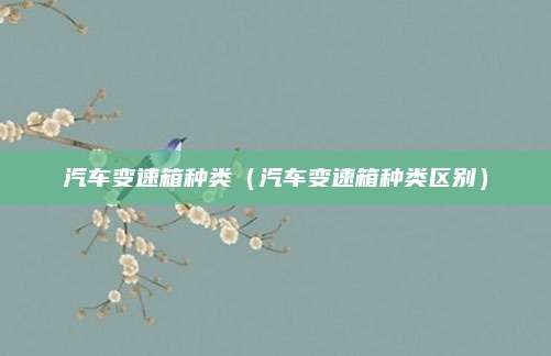 汽车变速箱种类(汽车变速箱种类区别)