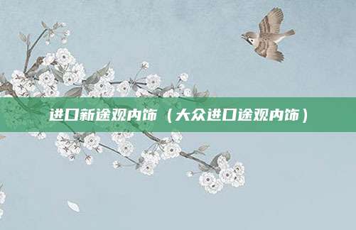 进口新途观内饰(大众进口途观内饰)