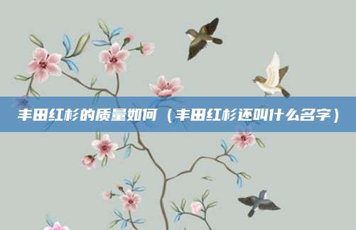丰田红杉的质量如何(丰田红杉还叫什么名字)