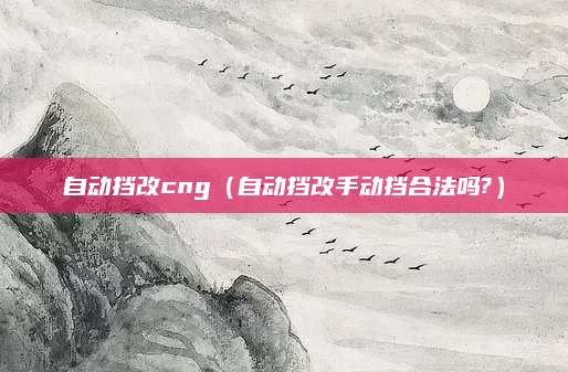 自动挡改cng(自动挡改手动挡合法吗?)