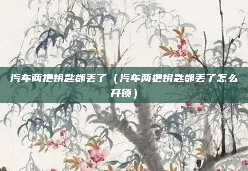 汽车两把钥匙都丢了(汽车两把钥匙都丢了怎么开锁)