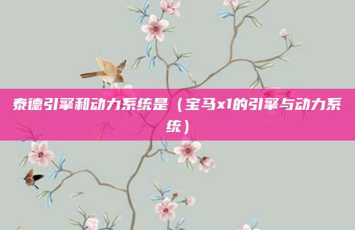 泰德引擎和动力系统是(宝马x1的引擎与动力系统)