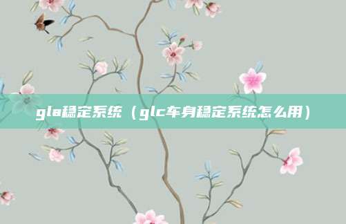 gla稳定系统（glc车身稳定系统怎么用）