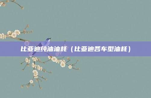 比亚迪纯油油耗(比亚迪各车型油耗)