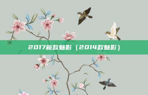 2017新款魅影(2014款魅影)