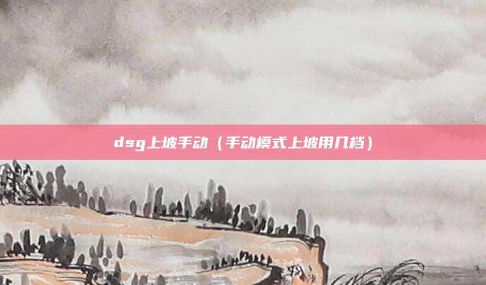 dsg上坡手动(手动模式上坡用几档)