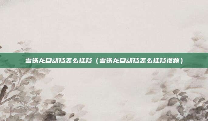 雪铁龙自动挡怎么挂档(雪铁龙自动挡怎么挂档视频)