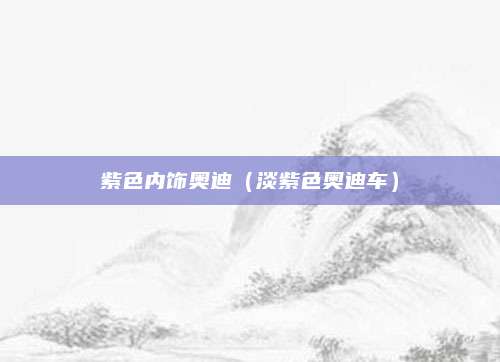紫色内饰奥迪(淡紫色奥迪车)