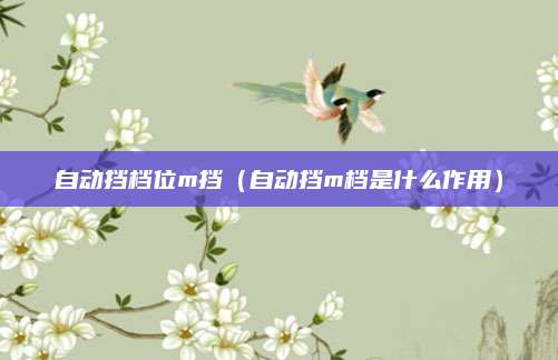 自动挡档位m挡(自动挡m档是什么作用)