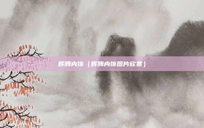 辉腾内饰(辉腾内饰图片欣赏)
