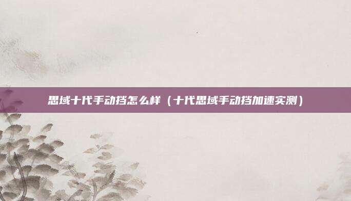 思域十代手动挡怎么样(十代思域手动挡加速实测)